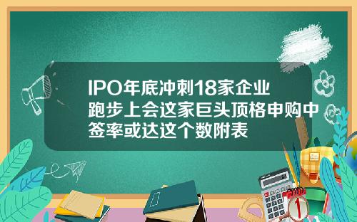 IPO年底冲刺18家企业跑步上会这家巨头顶格申购中签率或达这个数附表