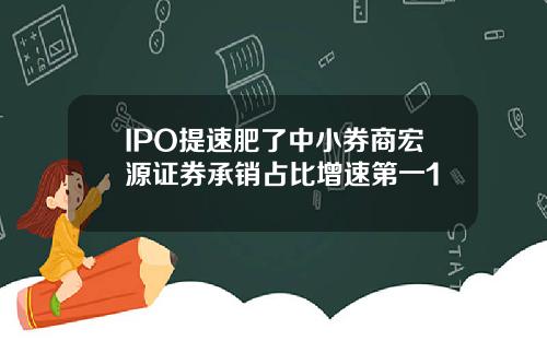 IPO提速肥了中小券商宏源证券承销占比增速第一1