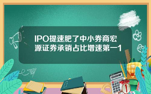 IPO提速肥了中小券商宏源证券承销占比增速第一1