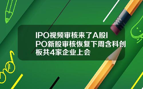 IPO视频审核来了A股IPO新股审核恢复下周含科创板共4家企业上会