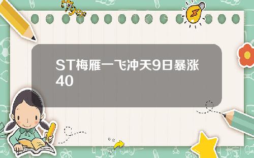 ST梅雁一飞冲天9日暴涨40