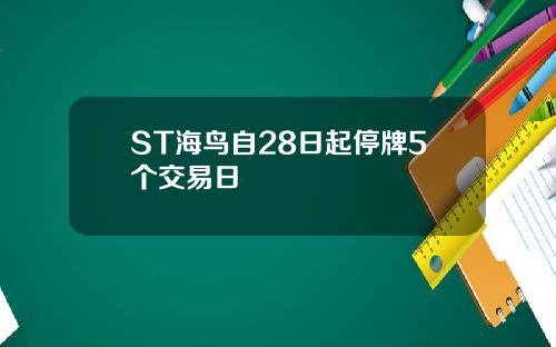 ST海鸟自28日起停牌5个交易日