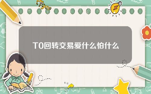 T0回转交易爱什么怕什么