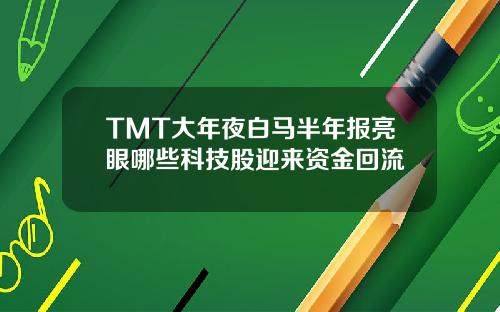 TMT大年夜白马半年报亮眼哪些科技股迎来资金回流