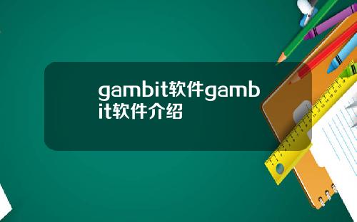 gambit软件gambit软件介绍