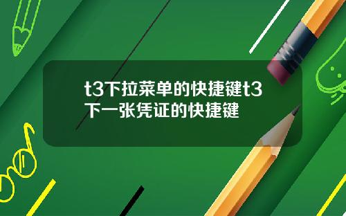 t3下拉菜单的快捷键t3下一张凭证的快捷键