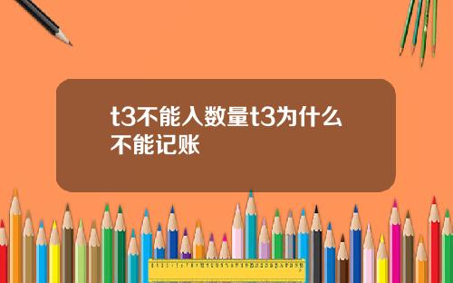 t3不能入数量t3为什么不能记账