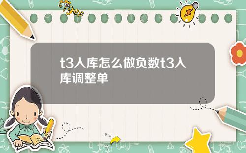 t3入库怎么做负数t3入库调整单