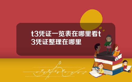 t3凭证一览表在哪里看t3凭证整理在哪里