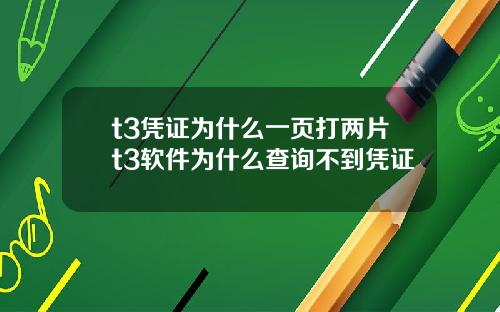 t3凭证为什么一页打两片t3软件为什么查询不到凭证