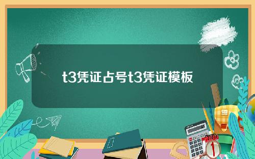 t3凭证占号t3凭证模板