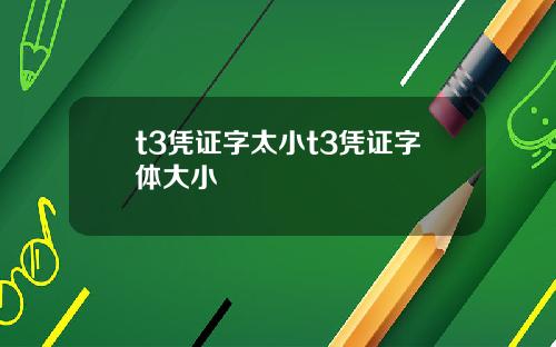 t3凭证字太小t3凭证字体大小