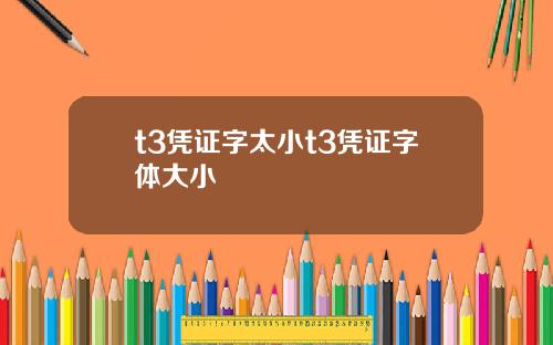 t3凭证字太小t3凭证字体大小