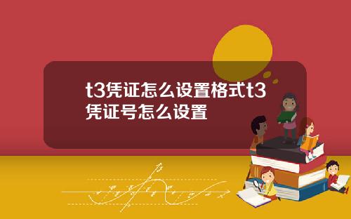 t3凭证怎么设置格式t3凭证号怎么设置