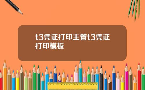 t3凭证打印主管t3凭证打印模板