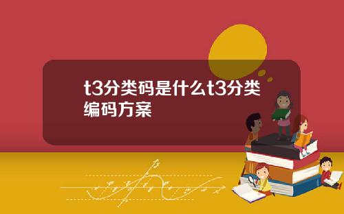 t3分类码是什么t3分类编码方案