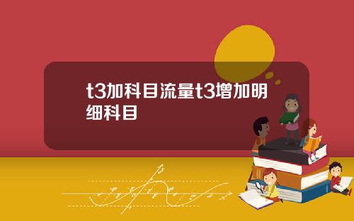 t3加科目流量t3增加明细科目