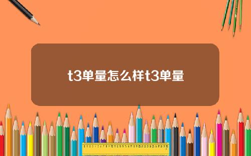 t3单量怎么样t3单量