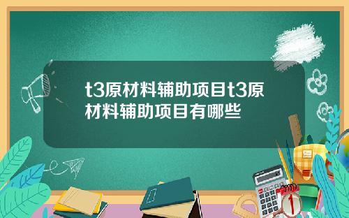 t3原材料辅助项目t3原材料辅助项目有哪些