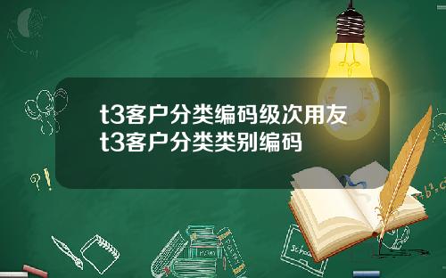 t3客户分类编码级次用友t3客户分类类别编码