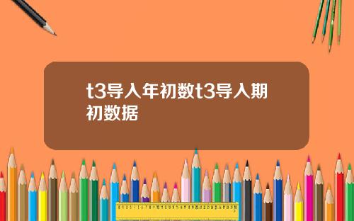 t3导入年初数t3导入期初数据