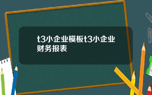 t3小企业模板t3小企业财务报表