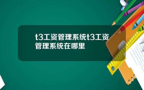 t3工资管理系统t3工资管理系统在哪里