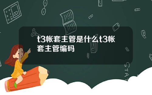t3帐套主管是什么t3帐套主管编码