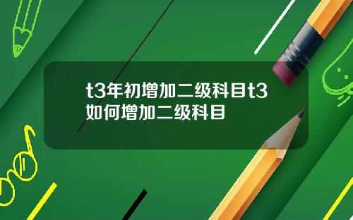 t3年初增加二级科目t3如何增加二级科目