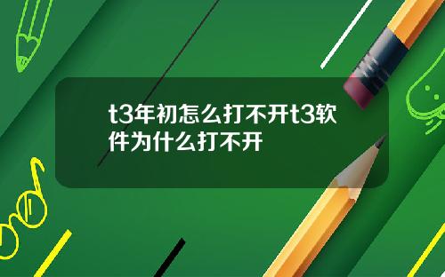 t3年初怎么打不开t3软件为什么打不开