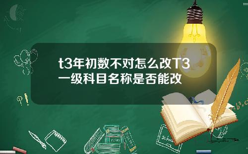 t3年初数不对怎么改T3一级科目名称是否能改