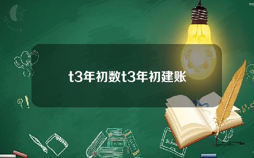 t3年初数t3年初建账