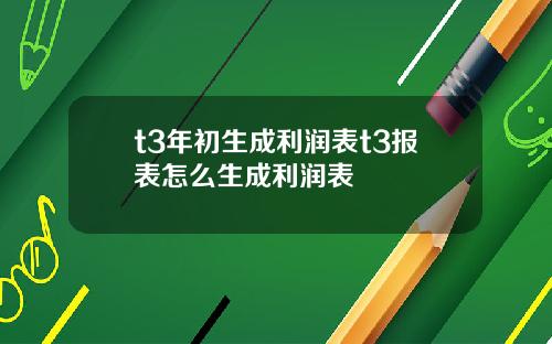 t3年初生成利润表t3报表怎么生成利润表