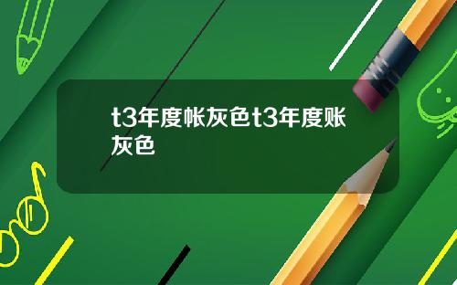 t3年度帐灰色t3年度账灰色