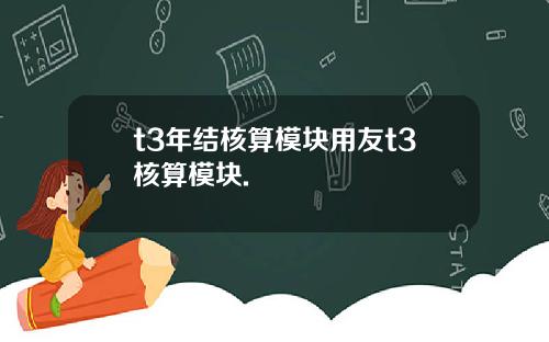 t3年结核算模块用友t3核算模块.