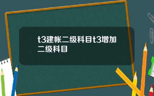 t3建帐二级科目t3增加二级科目