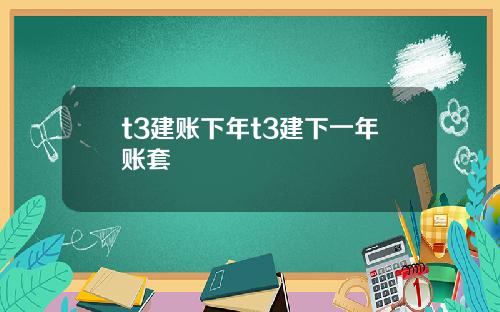 t3建账下年t3建下一年账套