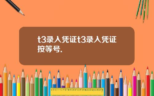 t3录入凭证t3录入凭证按等号.
