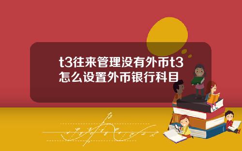 t3往来管理没有外币t3怎么设置外币银行科目