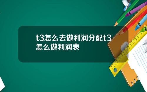 t3怎么去做利润分配t3怎么做利润表