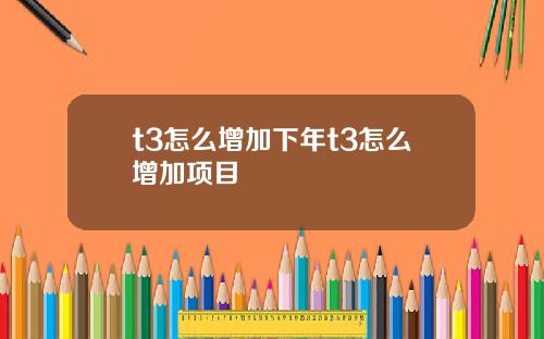 t3怎么增加下年t3怎么增加项目