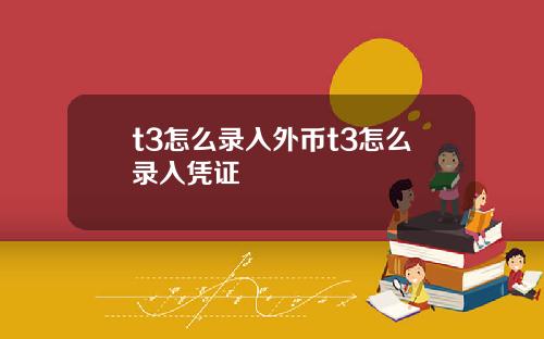 t3怎么录入外币t3怎么录入凭证
