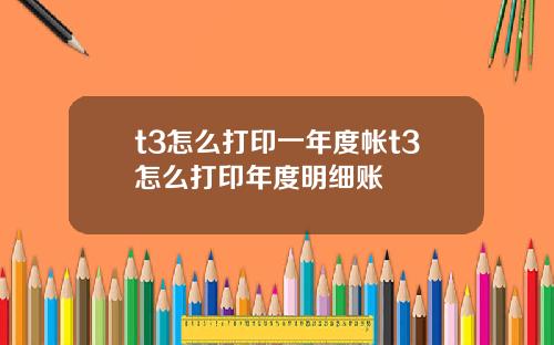 t3怎么打印一年度帐t3怎么打印年度明细账