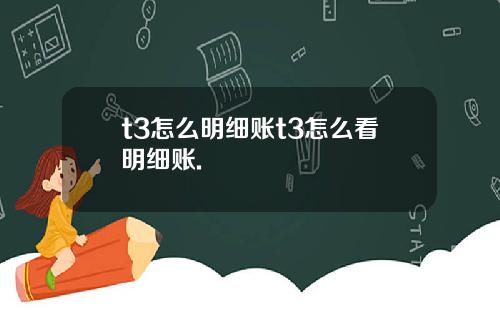 t3怎么明细账t3怎么看明细账.