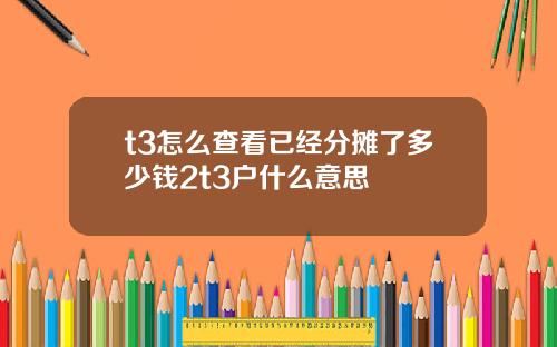 t3怎么查看已经分摊了多少钱2t3户什么意思