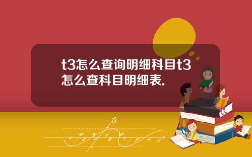 t3怎么查询明细科目t3怎么查科目明细表.