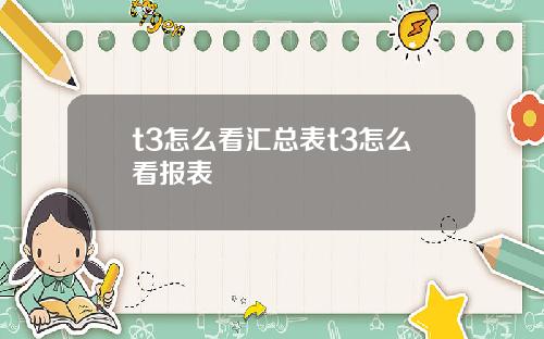 t3怎么看汇总表t3怎么看报表
