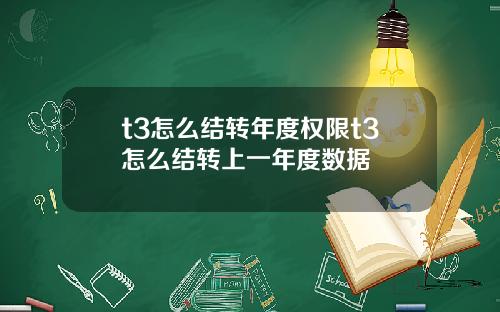 t3怎么结转年度权限t3怎么结转上一年度数据