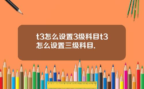 t3怎么设置3级科目t3怎么设置三级科目.