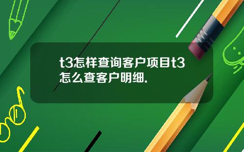 t3怎样查询客户项目t3怎么查客户明细.